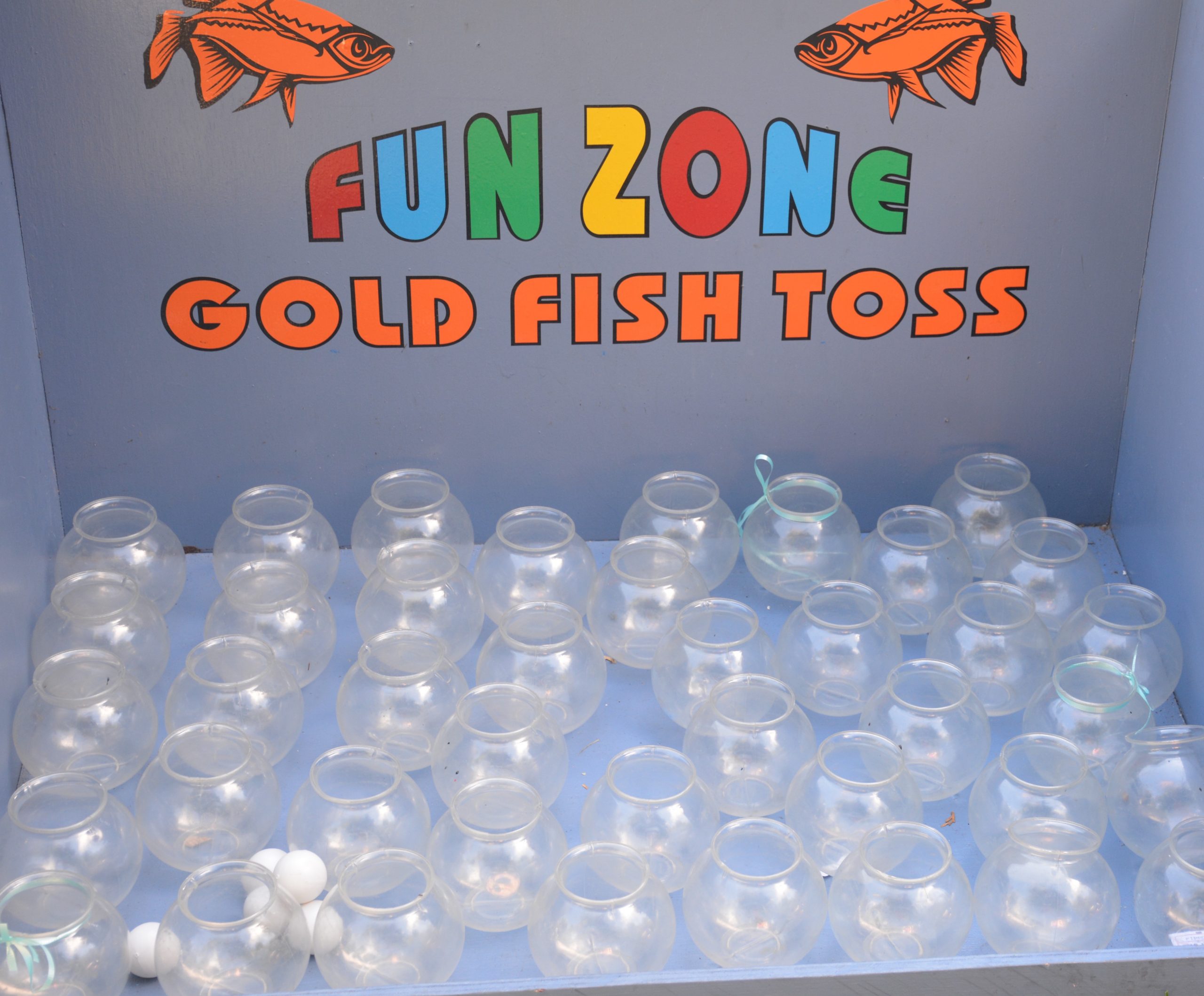 goldfish fun zone